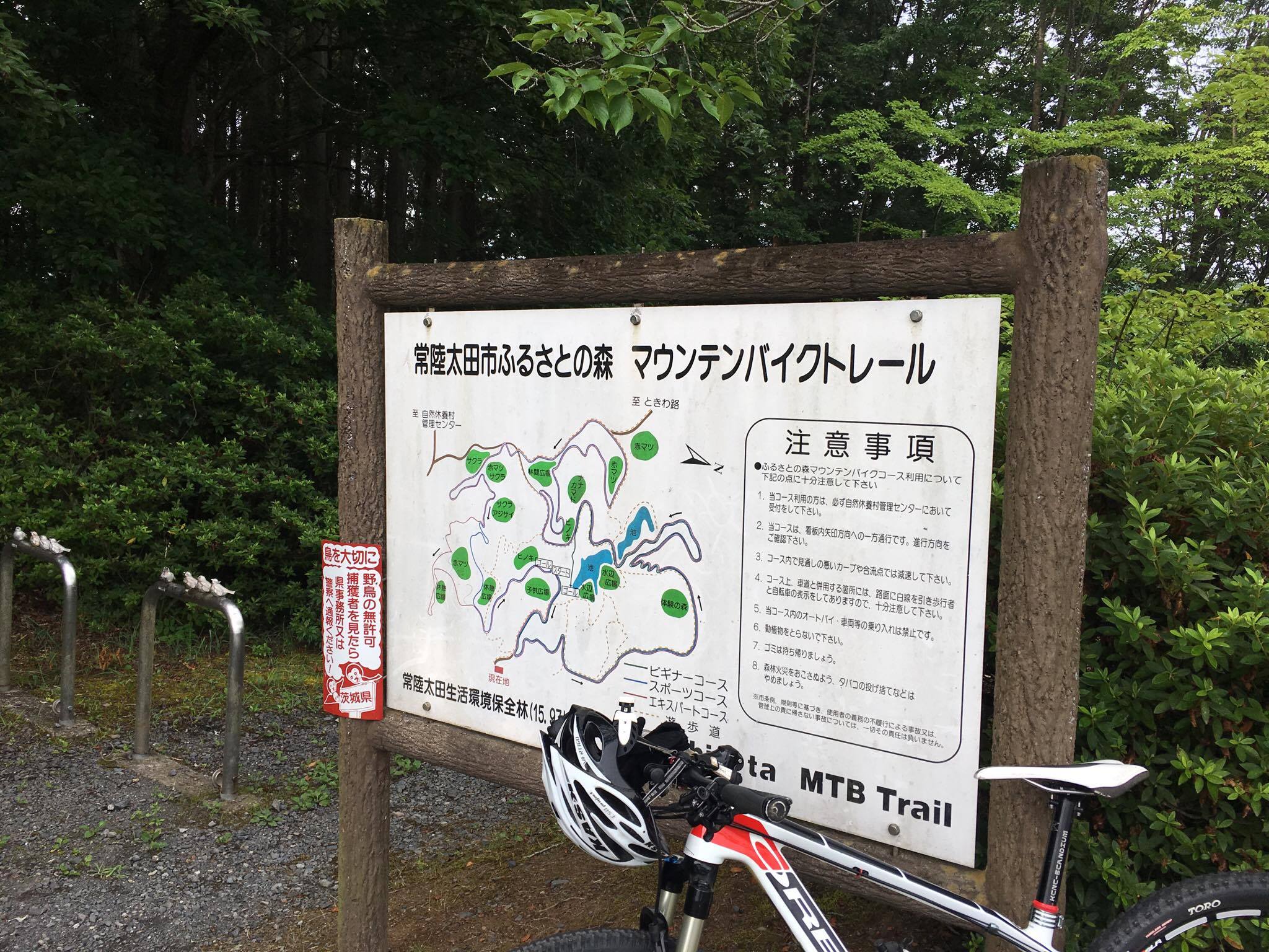 MTB トレーニング（常陸太田市ふるさとの森）