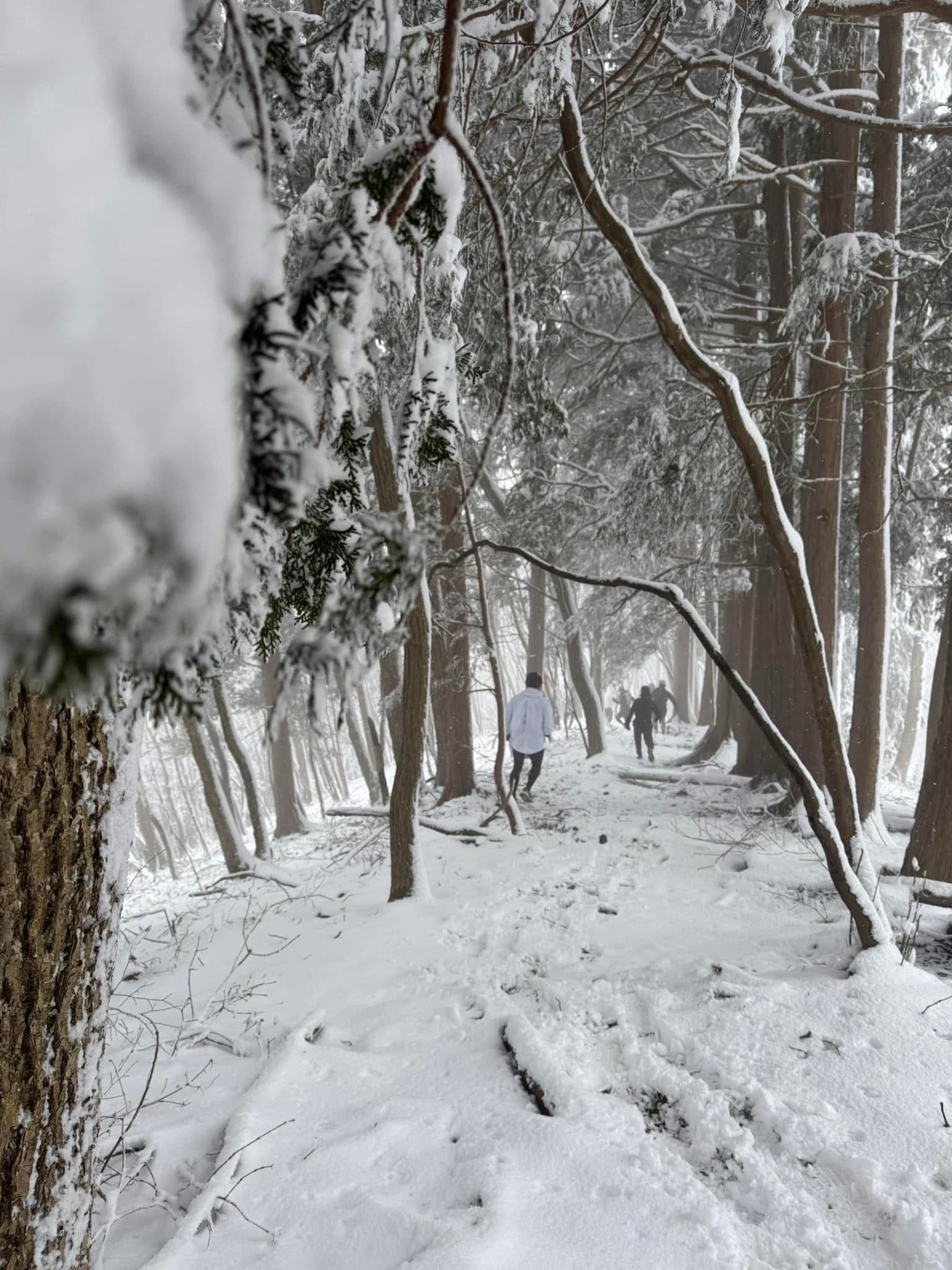 snow trail